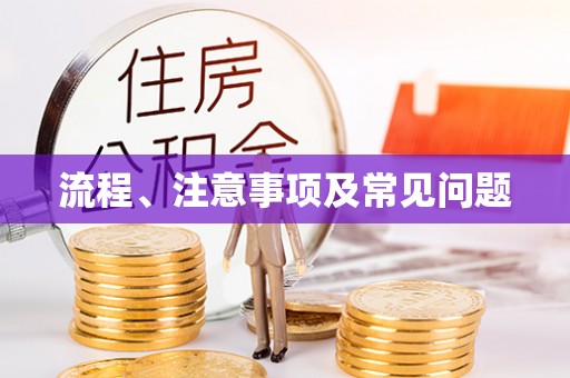 深度流程、注意事项及常见问题